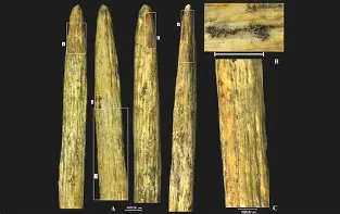 包含?&amp;D?^蹏[-开云网页版